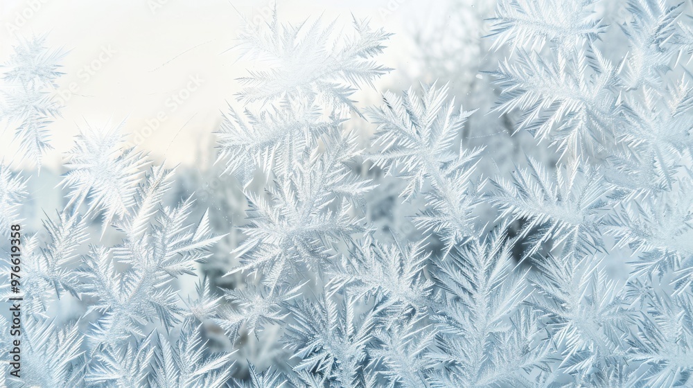 Frozen Windowpane with Delicate Ice Crystal Patterns Frozen Windowpane with Delicate Ice Crystal Patterns
