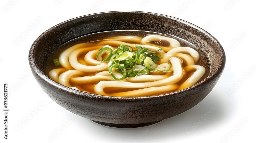 Delicious japanese udon noodles soup with green onions in ceramic bowl Delicious japanese udon noodles soup with green onions in ceramic bowl