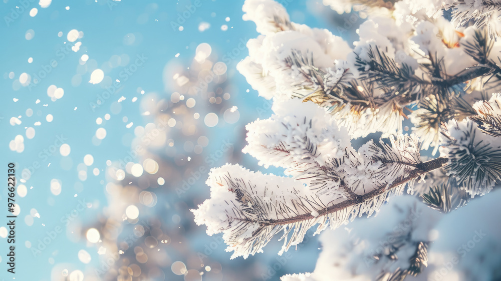 Snow-covered pine tree branches with soft falling snowflakes against a clear blue sky Snow-covered pine tree branches with soft falling snowflakes against a clear blue sky