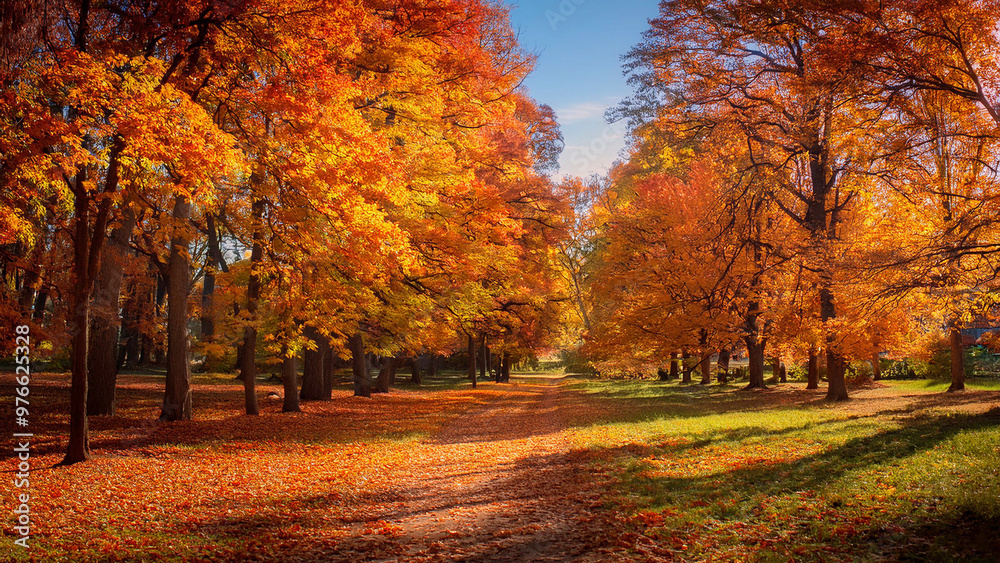 Autumn landscape with colorful trees in the park. Autumn season. Autumn landscape with colorful trees in the park. Autumn season.