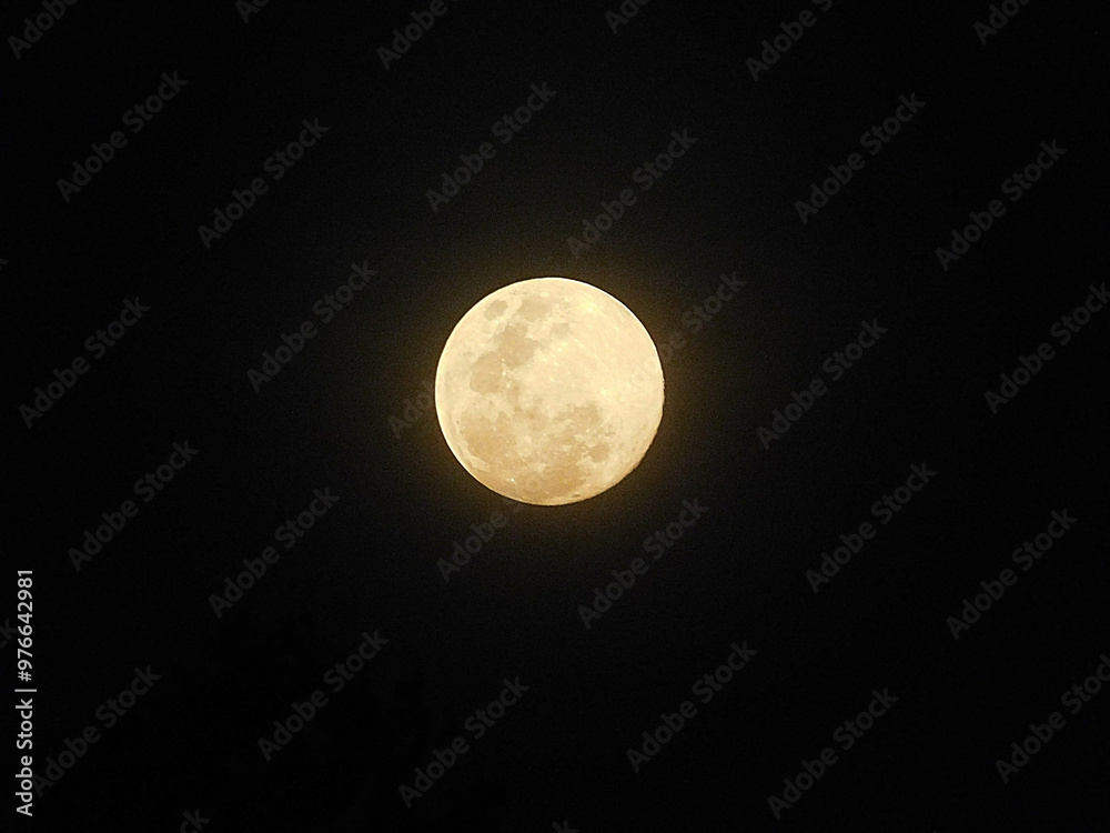 Obraz premium Full moon at night