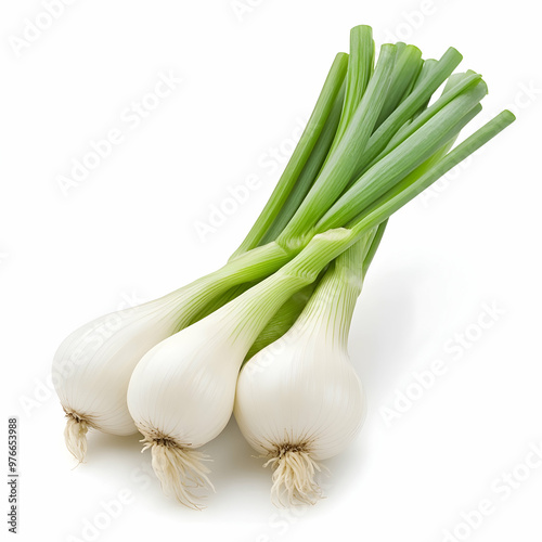 scallion green onions or spring onions isolated on white background photo