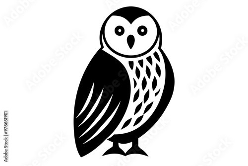 owl on white background photo