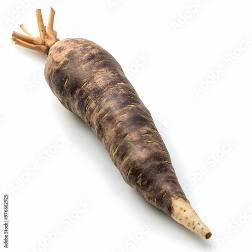 Single whole raw African yam isolated on white background photo