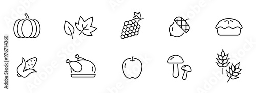 Autumn icon set. Thanksgiving, autumn outline vector icons. Vector
