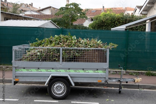 metal car trailer filled with green plant waste from garden pruning and mowing on residential neighborhood street photo