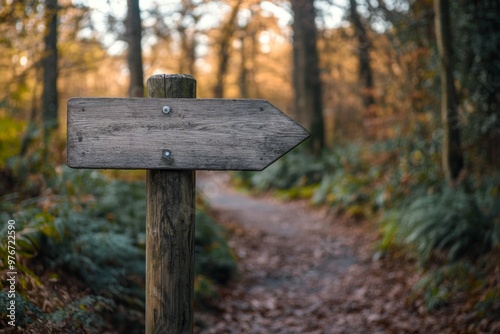 Wooden signpost in a serene forest guiding the way. A peaceful path surrounded by nature. Explore the beauty of the outdoors and find your direction. Generative AI.