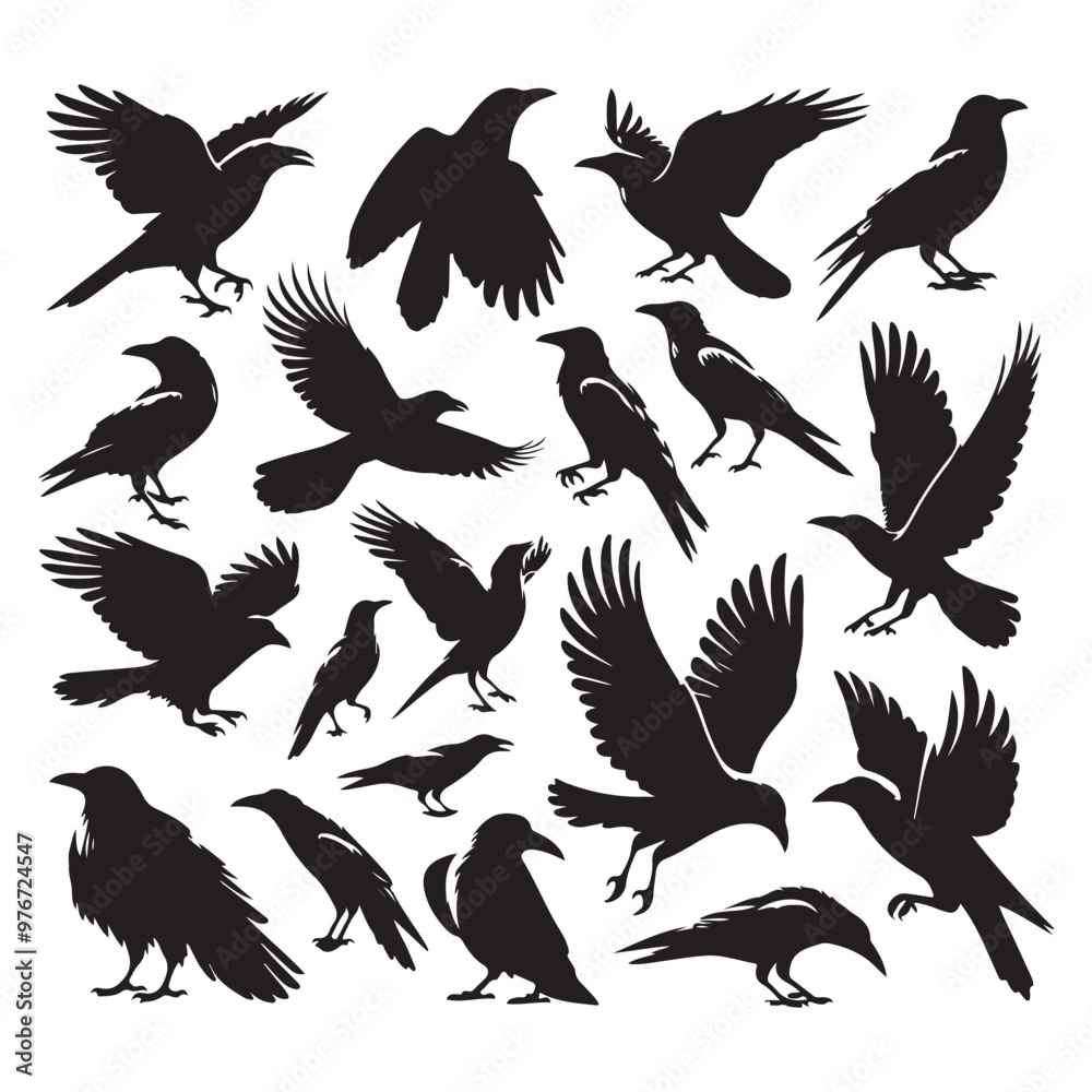 Set of crow silhouette vector on a white background Set of crow silhouette vector on a white background