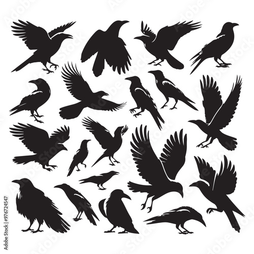 Set of crow silhouette vector on a white background