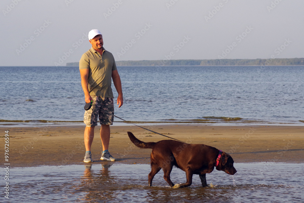 guy with a brown Labrador retriever on the riverbank on a summer evening. guy with a brown Labrador retriever on the riverbank on a summer evening.