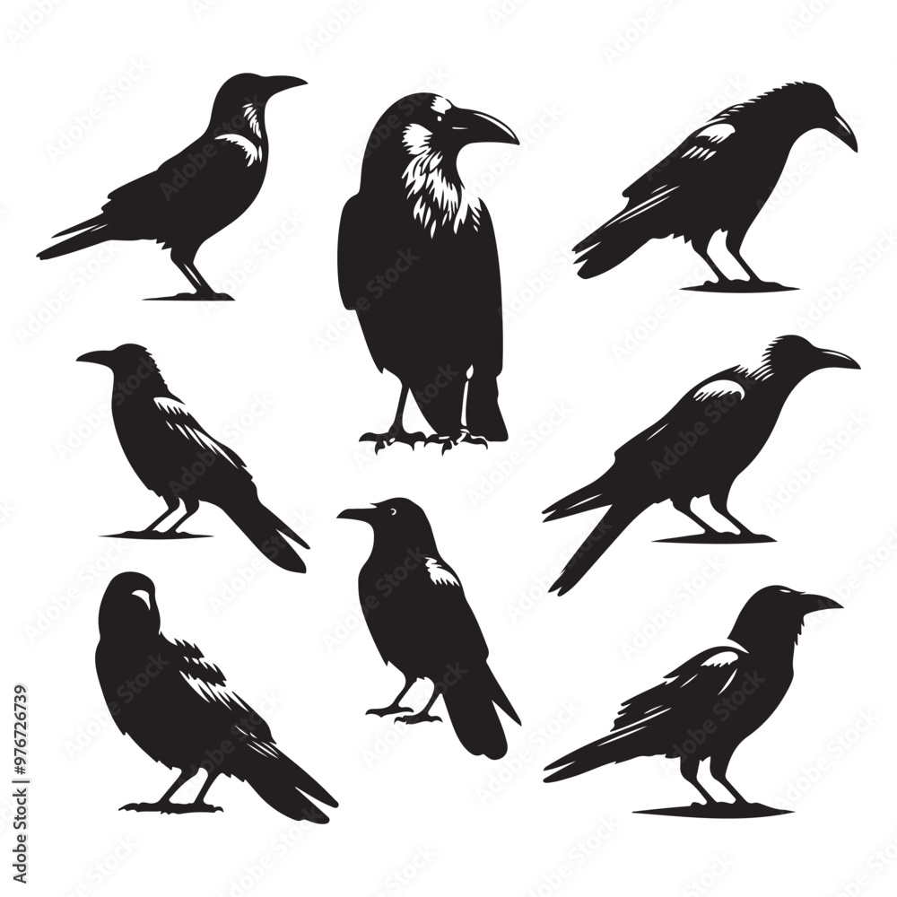 Set of crow silhouette vector on a white background Set of crow silhouette vector on a white background