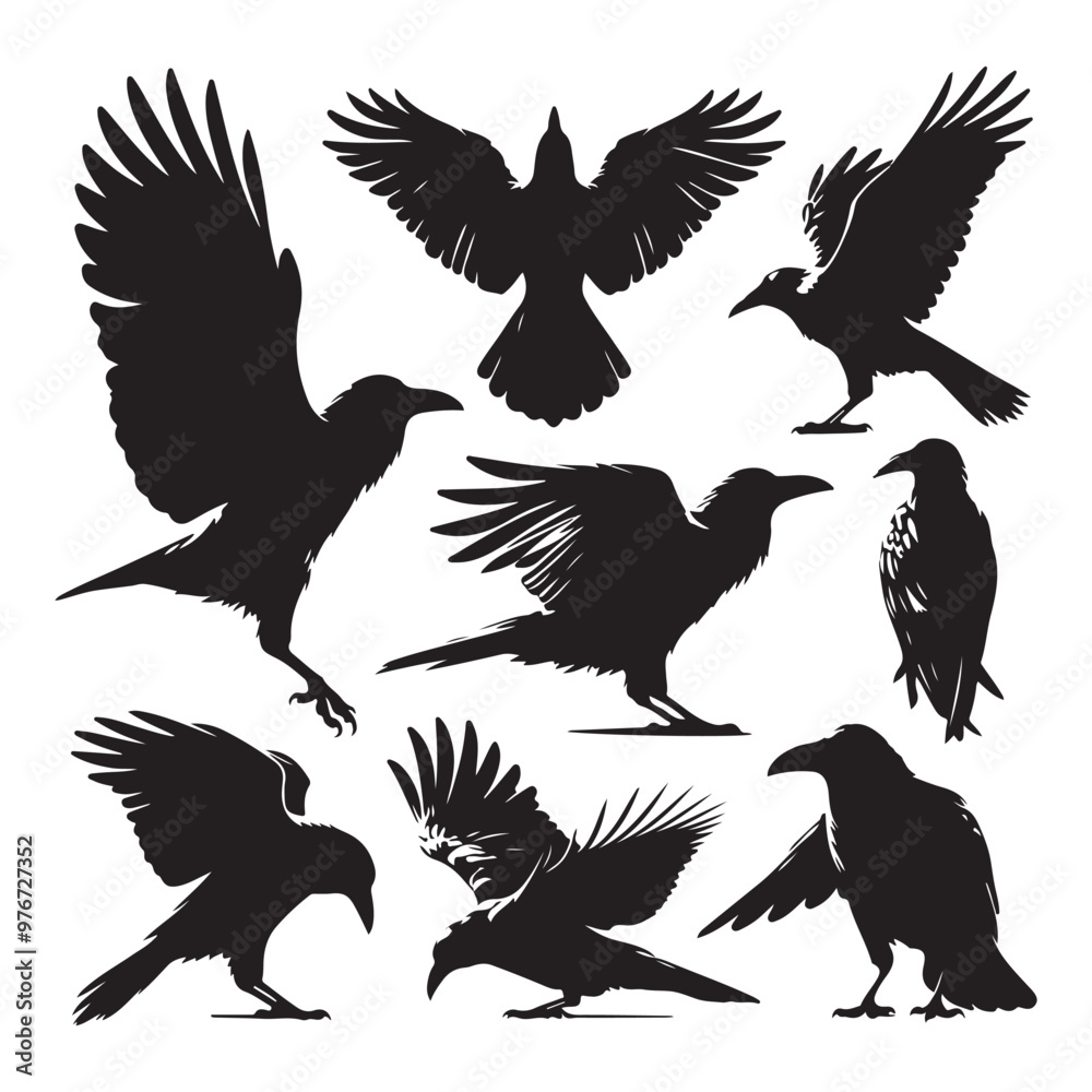 Obraz premium Set of crow silhouette vector on a white background