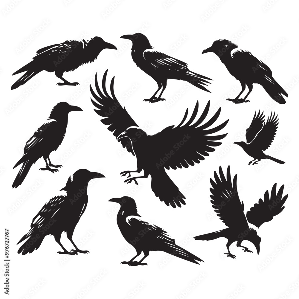 Set of crow silhouette vector on a white background Set of crow silhouette vector on a white background