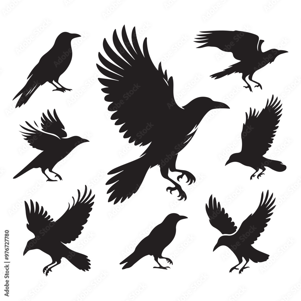 Set of crow silhouette vector on a white background Set of crow silhouette vector on a white background