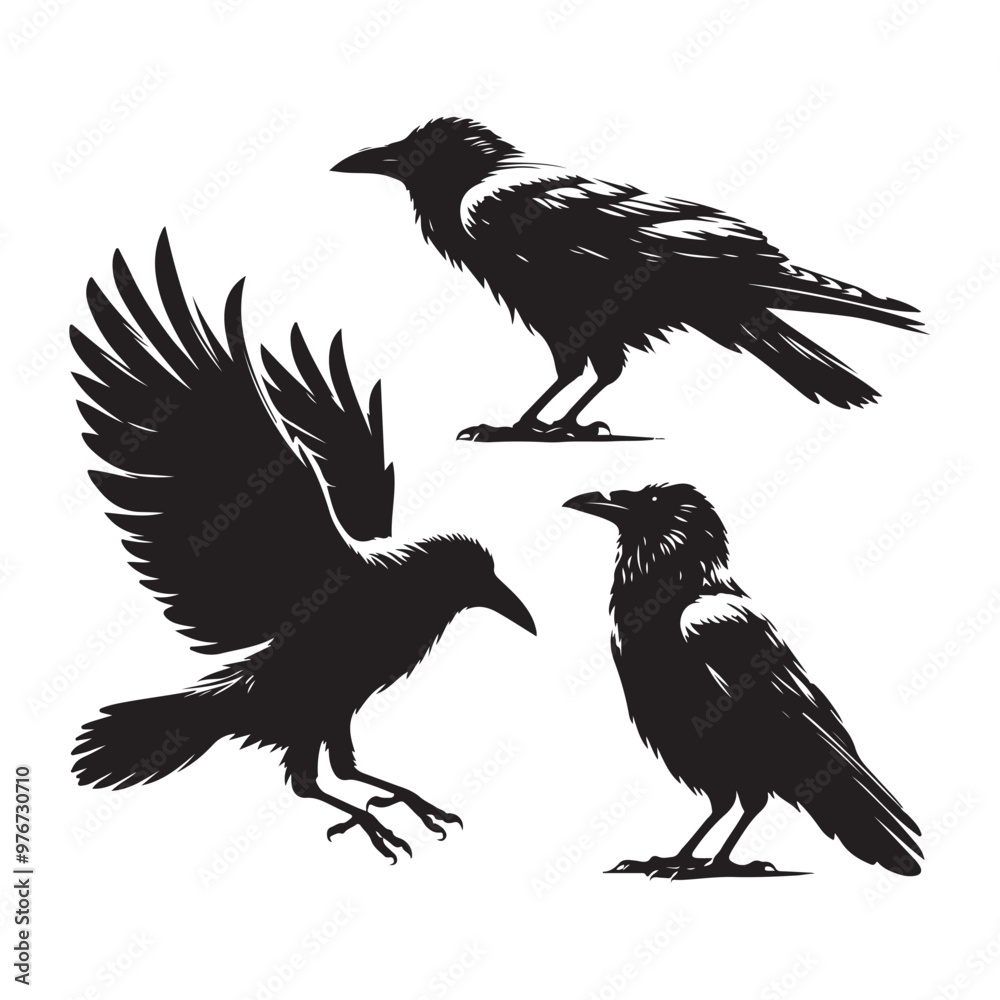 Fototapeta premium Set of crow silhouette vector on a white background