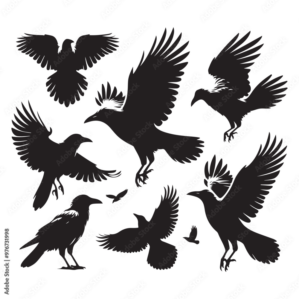 Set of crow silhouette vector on a white background Set of crow silhouette vector on a white background