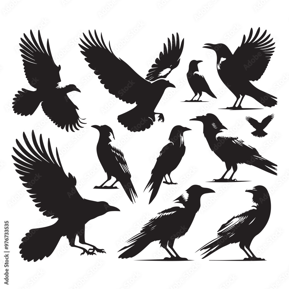 Set of crow silhouette vector on a white background Set of crow silhouette vector on a white background
