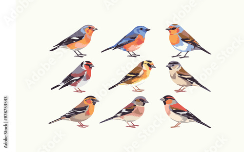 Set of birds vector illustration isolated on a white background 