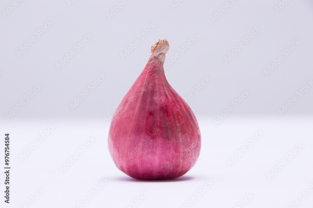 Fototapeta premium close up photo of dried onion. food concept