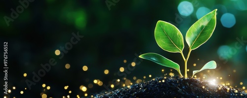 A young plant sprouting in rich soil, symbolizing growth and new beginnings in nature, illuminated by soft glowing lights. photo