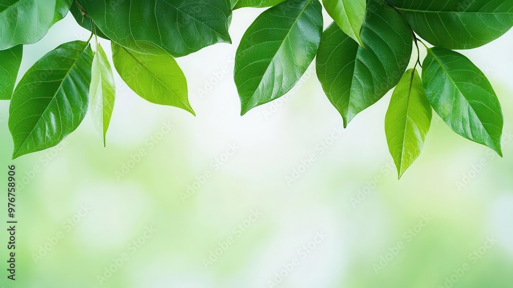 Soft focus on leaves moving gently in the breeze, symbolizing mindfulness, calm, and connection with nature, no people Soft focus on leaves moving gently in the breeze, symbolizing mindfulness, calm, and connection with nature, no people