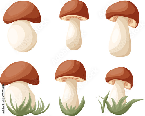 Vector forest mushrooms set illustration, graphic fungi clipart