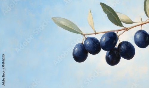 Fresh Olives Hanging From a Branch Against a Light Blue Sky During Midday in an Olive Grove