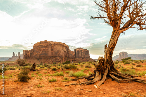 Woman in Monument Valley desert in front of Camel Mesa
