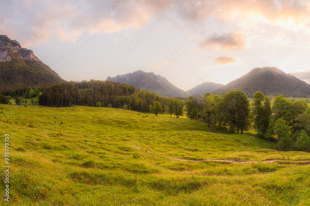 Obraz premium Meadow with road and bench during sunset in Berchtesgaden National Park