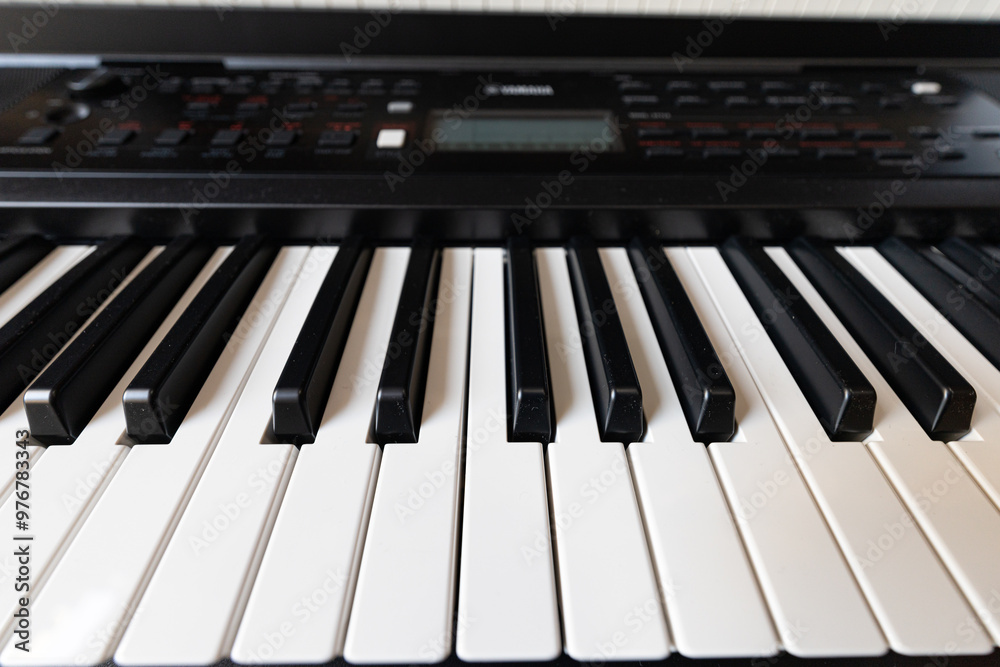 Closeup of black and white piano keyboard Closeup of black and white piano keyboard