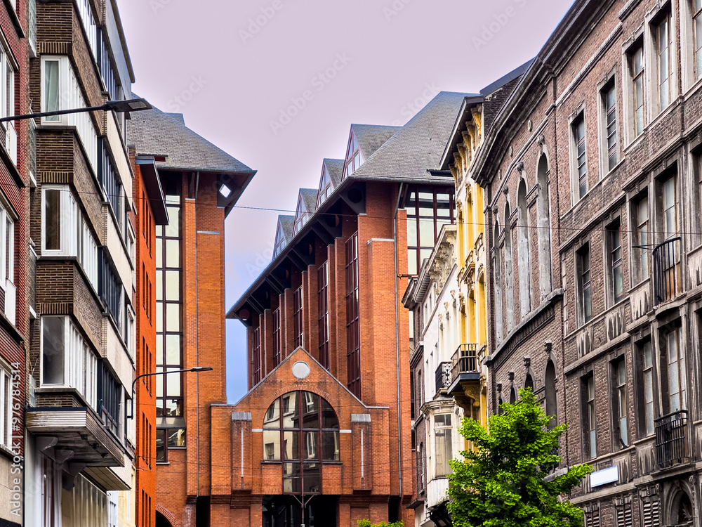 Fototapeta premium Cultural Heritage Explored: Journeying through Charleroi Timeless Street Scenes