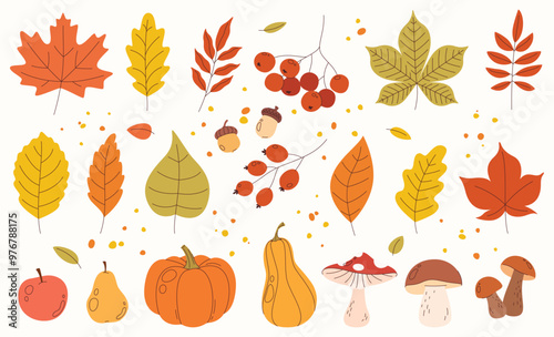 Set of autumn elements. Autumn leaves. Harvest time. Beautiful autumn elements. Color fashion illustrations. Vector illustration