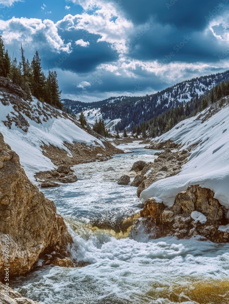 Snowy forest with river Snowy forest with river