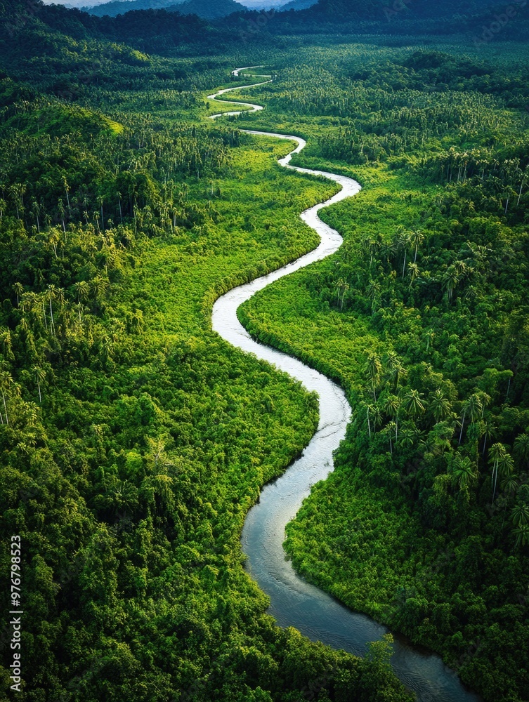 River winds through lush green forest River winds through lush green forest