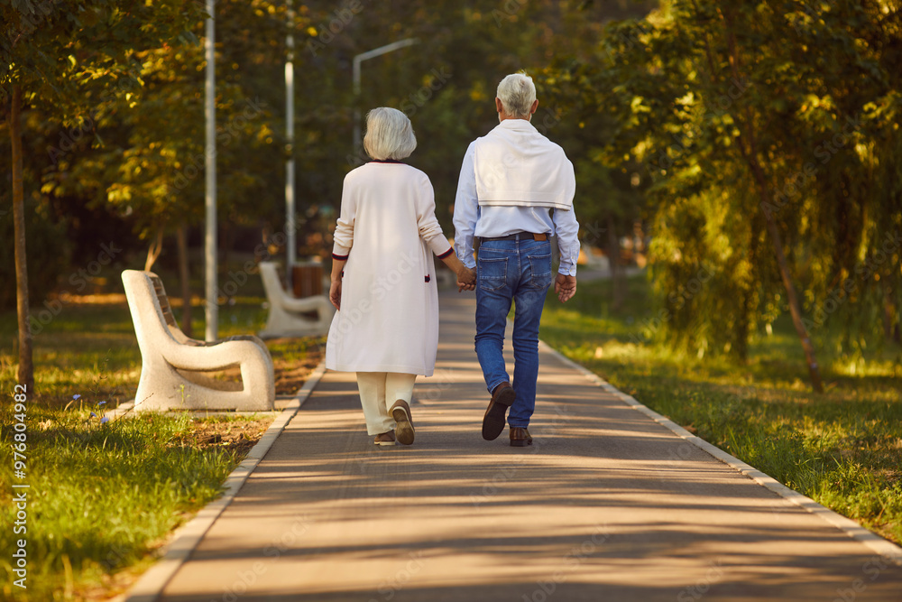 Fototapeta premium Senior couple rear view enjoying calm walk in park holding hands close, romantic holiday, weekend together. Spending retirement, pension, old family autumn, summer rest outside to share tender moment 