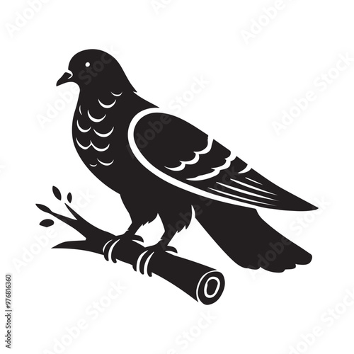 Domestic pigeon Outline Clipart -  Columbidae Bird Vector illustration in black and white 