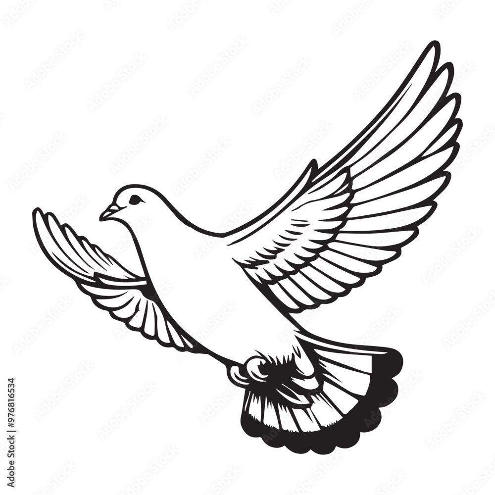 Fototapeta premium Domestic pigeon Outline Clipart - Columbidae Bird Vector illustration in black and white 
