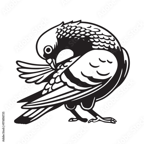 Domestic pigeon Outline Clipart -  Columbidae Bird Vector illustration in black and white 