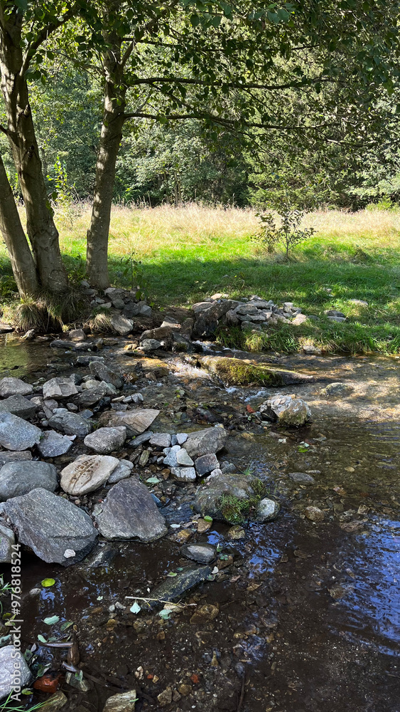 A small mountain river with a flow of water in the Polish mountains. Eastern Sudetes A small mountain river with a flow of water in the Polish mountains. Eastern Sudetes