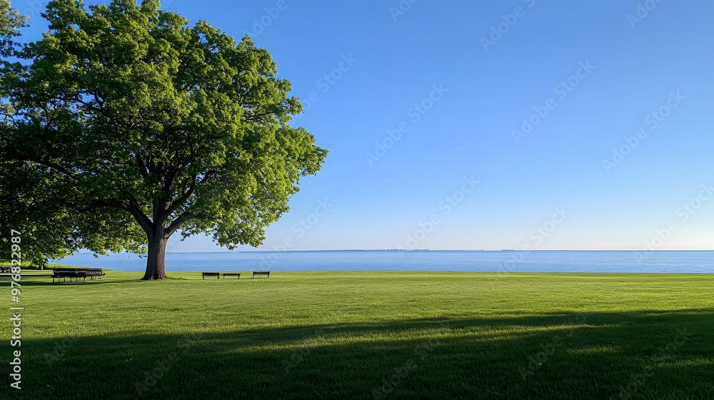 Tranquil lakeside vista with a solitary tree casting long shadows on the sandy shore Tranquil lakeside vista with a solitary tree casting long shadows on the sandy shore