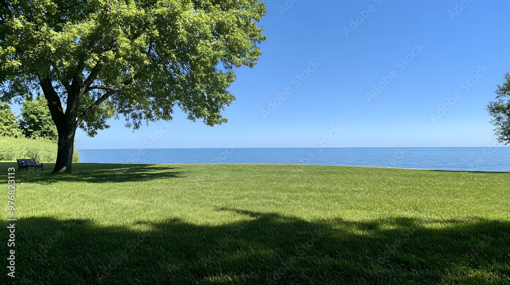 Obraz premium Tranquil lakeside vista with a solitary tree casting long shadows on the sandy shore