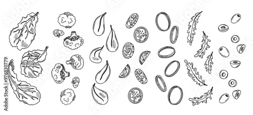 Falling fresh sliced vegetables. Sketch of broccoli, cucumber, spinach, olive, onion, lettuce, arugula. Vector illustration