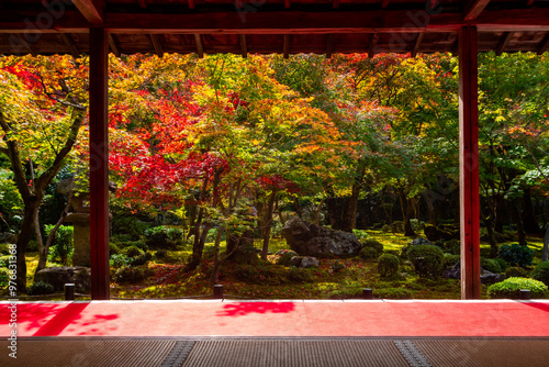 The beauty of autumn leaves in Japanese garden with red carpet at Enkouji Temple in Kyoto, Japan photo