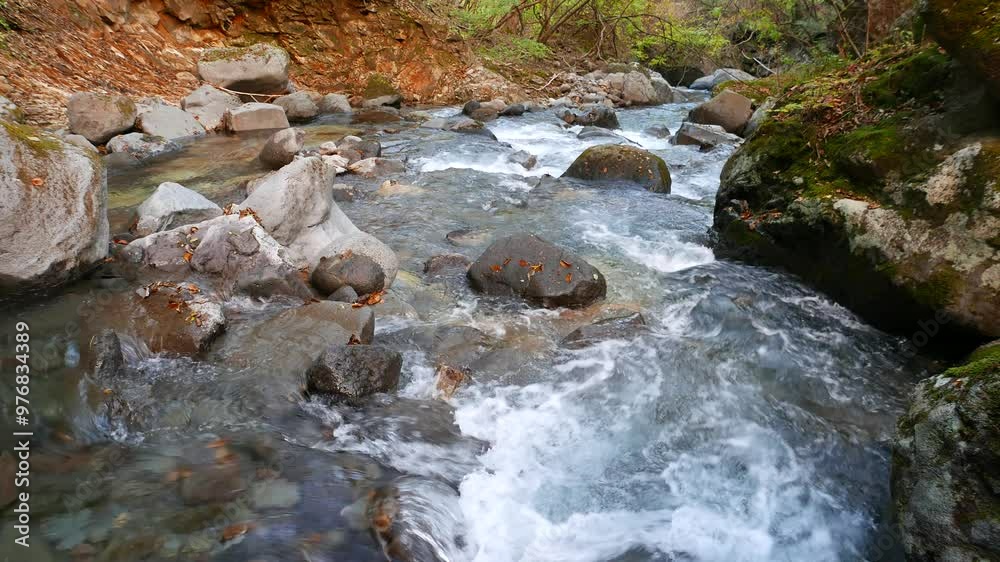 Small river with stony streambed in autumn forest, static camera, clip includes original audio of water noise. Nature and environment of Nikko mountains, Japan in November Small river with stony streambed in autumn forest, static camera, clip includes original audio of water noise. Nature and environment of Nikko mountains, Japan in November