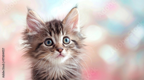 Adorable Fluffy Kitten with Bright Eyes