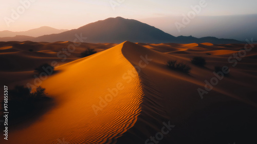Fototapeta Naklejka Na Ścianę i Meble -  Sand dunes. Desert landscape with beautiful sand dunes and blue sky
