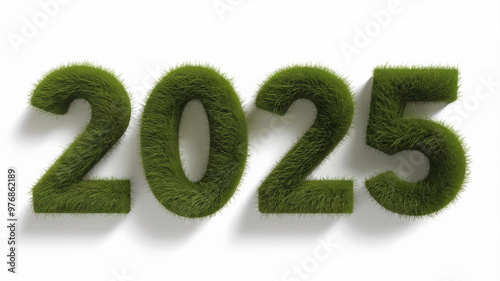 A white background with the numbers '2025' made from a green, grassy texture. The '2' is on the top left, the '0' is in the center, and the '5' is on the top right. The numbers have a three-dimension