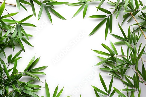 Bamboo leaves isolated on white background with copy space for text