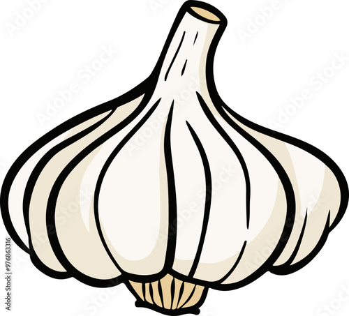 Vector Illustration of a Stylized Garlic Bulb