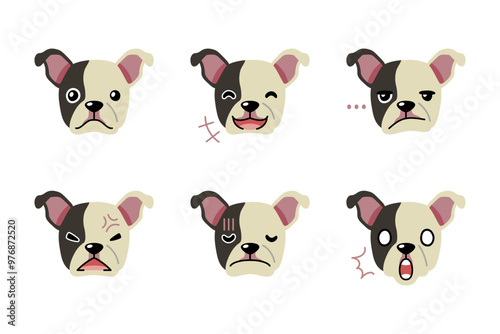 Set of character boston terrier dog faces showing different emotions for design.
